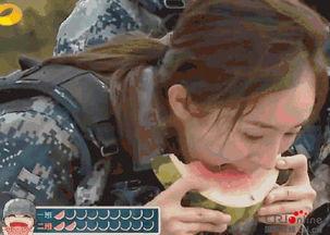 咋样看吃瓜群众视频,揭秘“吃瓜群众”视频背后的社会现象